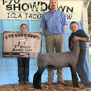 Schmillen Club Lambs