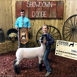 Schmillen Club Lambs