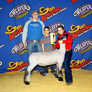 Schmillen Club Lambs